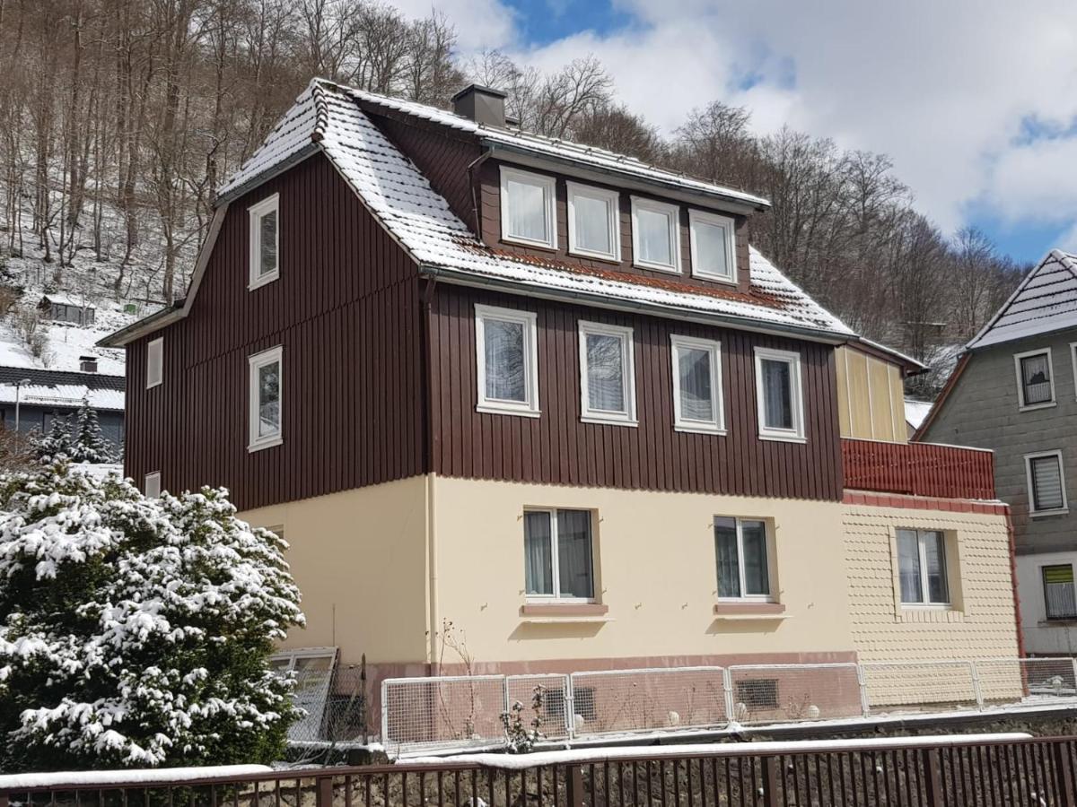 Ferienhaus Am Fluss Mit Traumhafter Dachterrasse ,Garten Und Grill Walkenried Extérieur photo