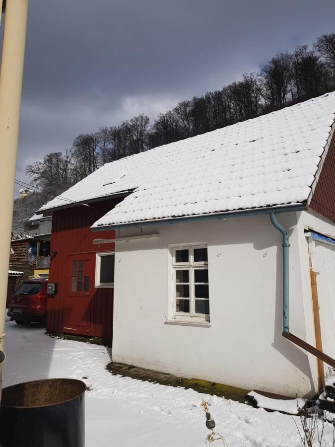 Ferienhaus Am Fluss Mit Traumhafter Dachterrasse ,Garten Und Grill Walkenried Extérieur photo