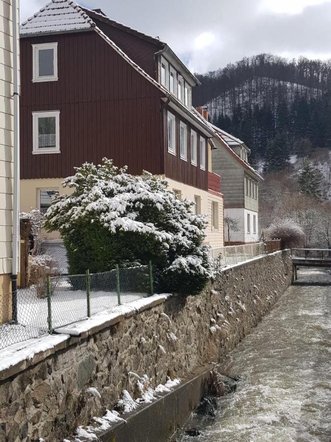 Ferienhaus Am Fluss Mit Traumhafter Dachterrasse ,Garten Und Grill Walkenried Extérieur photo