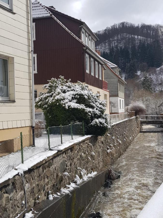 Ferienhaus Am Fluss Mit Traumhafter Dachterrasse ,Garten Und Grill Walkenried Extérieur photo