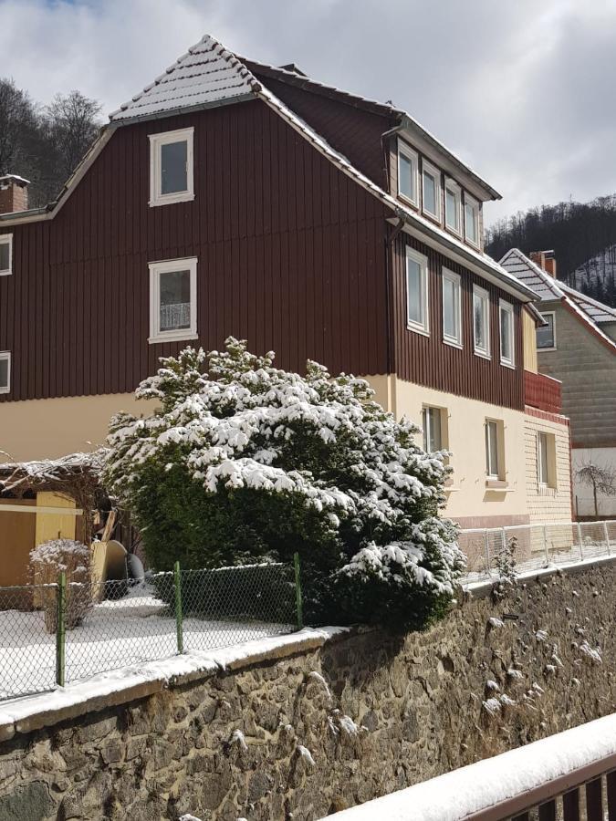 Ferienhaus Am Fluss Mit Traumhafter Dachterrasse ,Garten Und Grill Walkenried Extérieur photo
