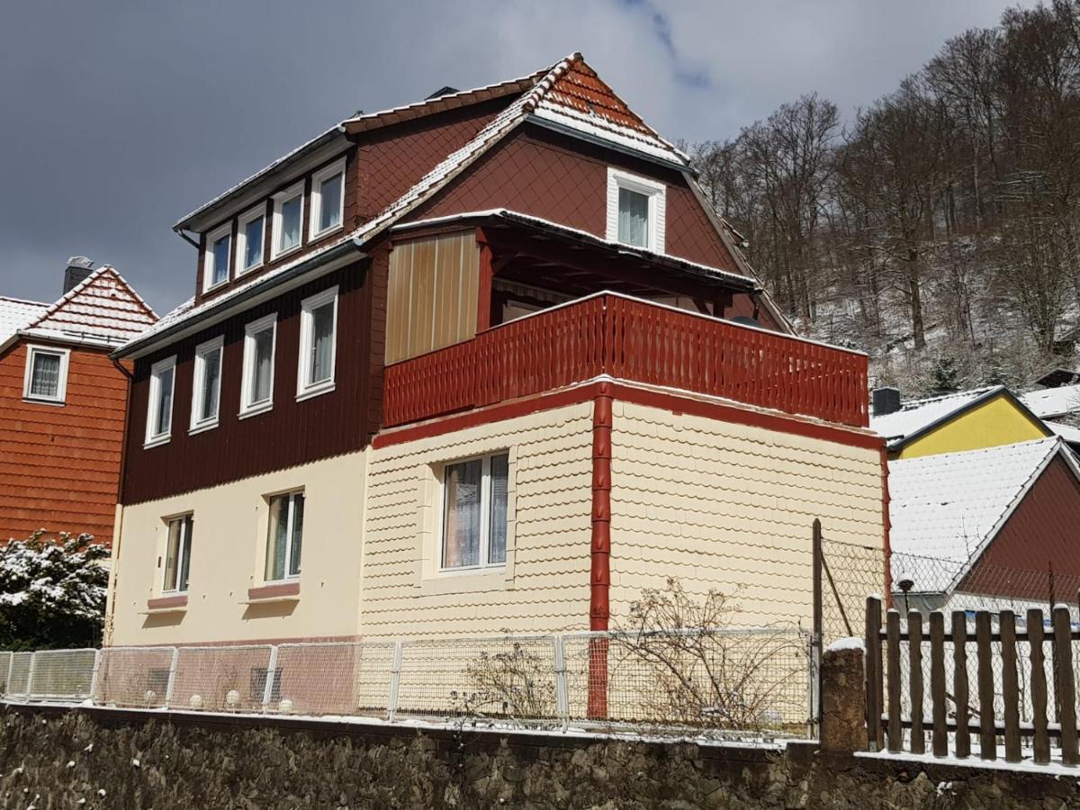 Ferienhaus Am Fluss Mit Traumhafter Dachterrasse ,Garten Und Grill Walkenried Extérieur photo