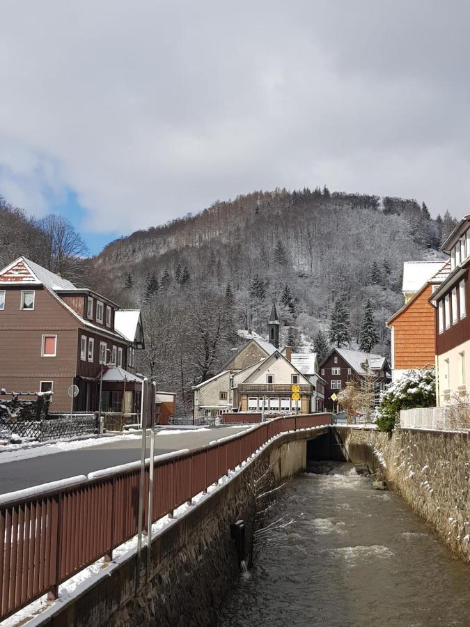 Ferienhaus Am Fluss Mit Traumhafter Dachterrasse ,Garten Und Grill Walkenried Extérieur photo