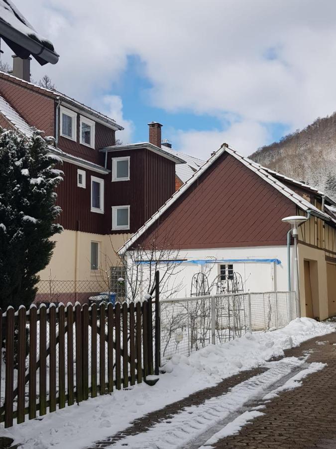 Ferienhaus Am Fluss Mit Traumhafter Dachterrasse ,Garten Und Grill Walkenried Extérieur photo