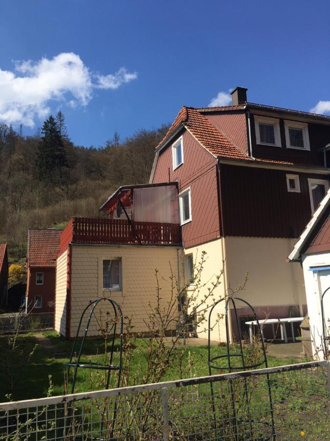 Ferienhaus Am Fluss Mit Traumhafter Dachterrasse ,Garten Und Grill Walkenried Extérieur photo