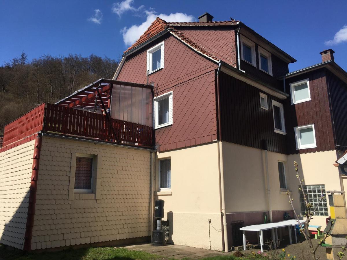 Ferienhaus Am Fluss Mit Traumhafter Dachterrasse ,Garten Und Grill Walkenried Extérieur photo
