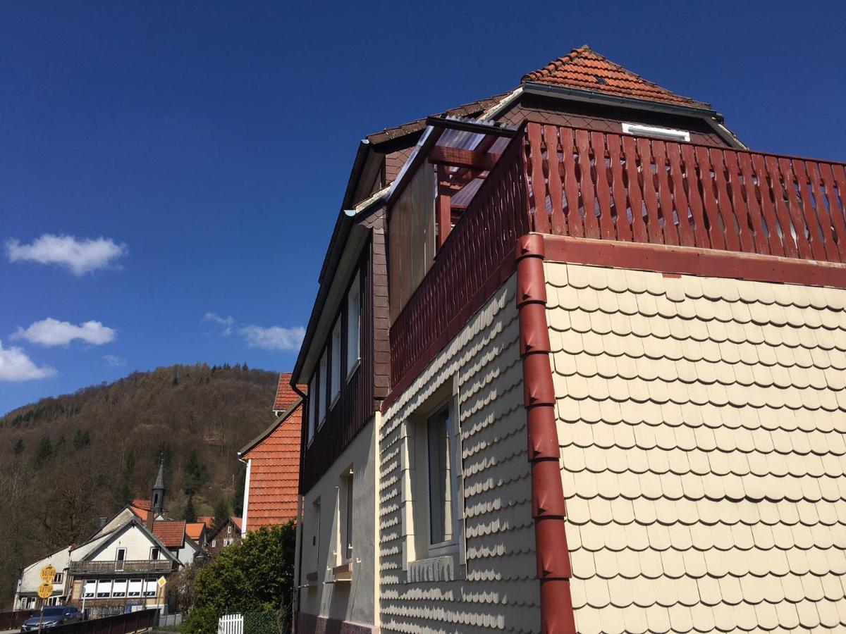 Ferienhaus Am Fluss Mit Traumhafter Dachterrasse ,Garten Und Grill Walkenried Extérieur photo