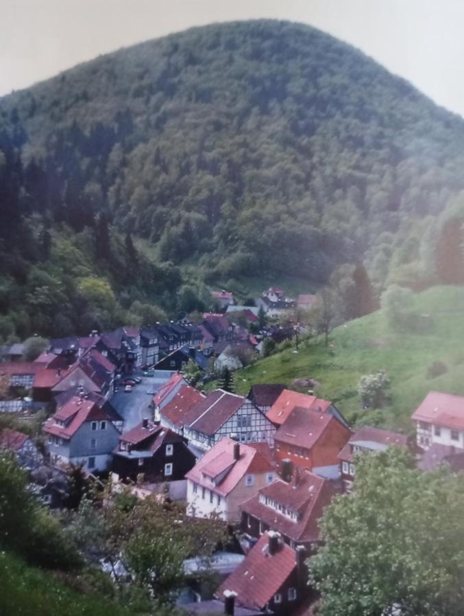 Ferienhaus Am Fluss Mit Traumhafter Dachterrasse ,Garten Und Grill Walkenried Extérieur photo